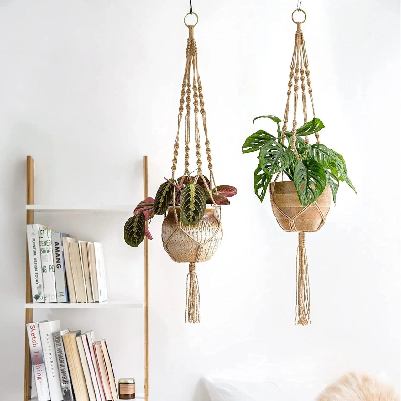 Indoor plant hangers