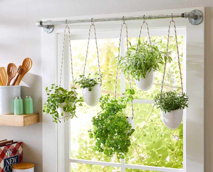 Plant hangers indoor