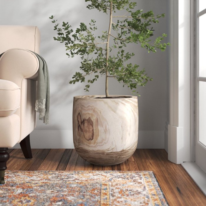 Large indoor plant pots
